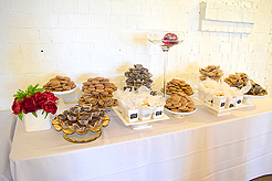 HEATHER CHRISTO BOOK LAUNCH