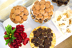 HEATHER CHRISTO BOOK LAUNCH