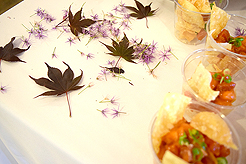 HEATHER CHRISTO BOOK LAUNCH