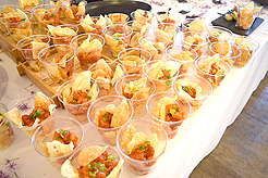 HEATHER CHRISTO BOOK LAUNCH