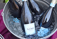 KAY CATERING GARDEN PARTY