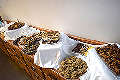 KENT LUTHERAN CHURCH