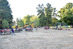 LAURELHURST BACKYARD BBQ 2018