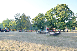 LAURELHURST BACKYARD BBQ 2018