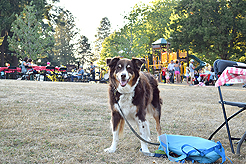 LAURELHURST BACKYARD BBQ 2018