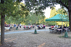 LAURELHURST BACKYARD BBQ 2018