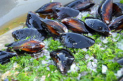 LAURELHURST SALMON BAKE 2013