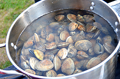 LAURELHURST SALMON BAKE 2013