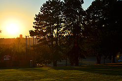 LAURELHURST SALMON BAKE 2013