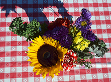 LAURELHURST SALMON BAKE 2014