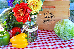 LAURELHURST SALMON BAKE 2014