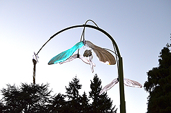 LAURELHURST SALMON BAKE 2014