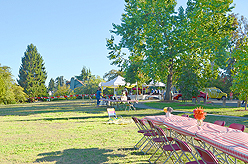 LAURELHURST SALMON BAKE 2015