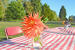 LAURELHURST SALMON BAKE 2015