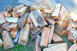 LAURELHURST SALMON BAKE 2015