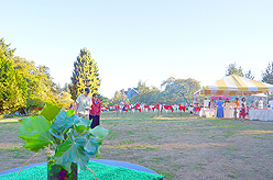 LAURELHURST SALMON BAKE 2015