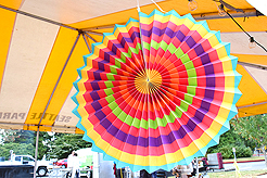 LAURELHURST SALMON BAKE 2016