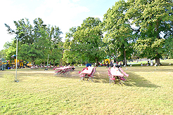 LAURELHURST SALMON BAKE 2016