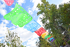 LAURELHURST SALMON BAKE 2016