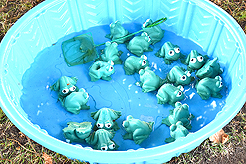 LAURELHURST SALMON BAKE 2016