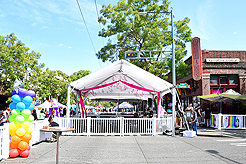 LE FAUX PRIDEFEST