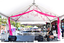 LE FAUX PRIDEFEST