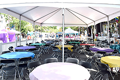 LE FAUX PRIDEFEST