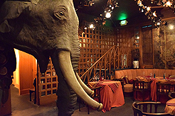 MICROSOFT AT THE RUINS