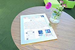 MIDSUMMERS NIGHT SOIREE