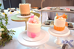 OPEN HOUSE AT 415 WESTLAKE