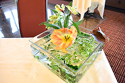 SEATTLE SPACE NEEDLE