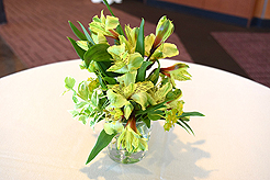 SEATTLE SPACE NEEDLE