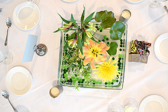 SEATTLE SPACE NEEDLE