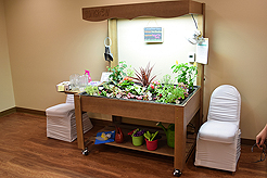 QUAIL PARK WEST SEATTLE BRUNCH