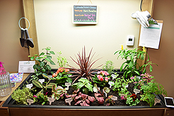 QUAIL PARK WEST SEATTLE BRUNCH