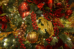 QUANTIVATE HOLIDAY PARTY