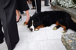 SANTA CLARA UNIVERSITY AND SEATTLE UNIVERSITY