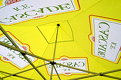 ALBERTSONS BLUE FRIDAY