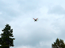 ALBERTSONS BLUE FRIDAY