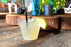 LADY 12 CELEBRITY FASHION SHOW AT METROPOLIST