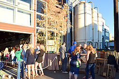 LADY 12 CELEBRITY FASHION SHOW AT METROPOLIST