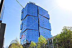 LADY 12 CELEBRITY FASHION SHOW