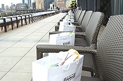 LADY 12 CELEBRITY FASHION SHOW