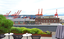 LADY 12 CELEBRITY FASHION SHOW