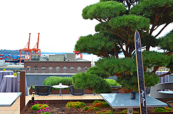 LADY 12 CELEBRITY FASHION SHOW