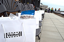 LADY 12 CELEBRITY FASHION SHOW