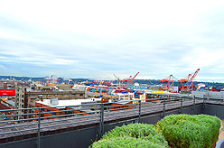 LADY 12 CELEBRITY FASHION SHOW