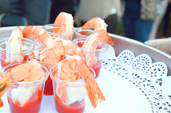 LADY 12 CELEBRITY FASHION SHOW