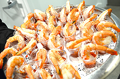 LADY 12 CELEBRITY FASHION SHOW