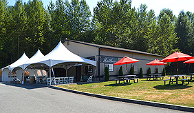 DREAM VISION FUNDRAISER FOR JAPAN RELIEF AT THE MATTHEWS WINERY